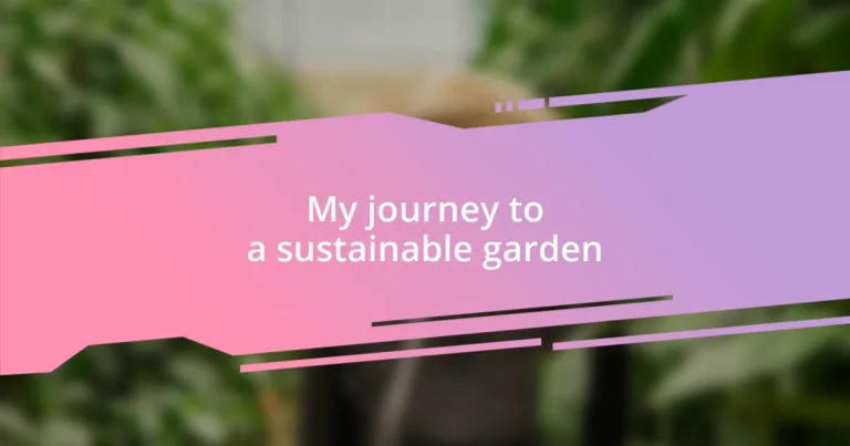 My journey to a sustainable garden